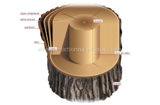 Stacks Image 26